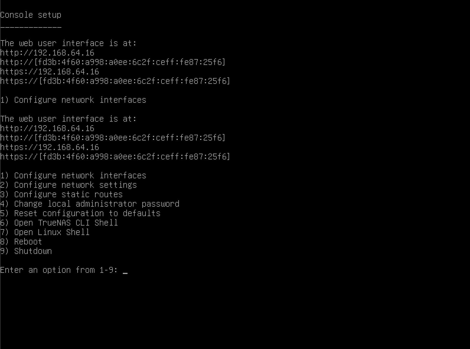TrueNAS menu after booting up