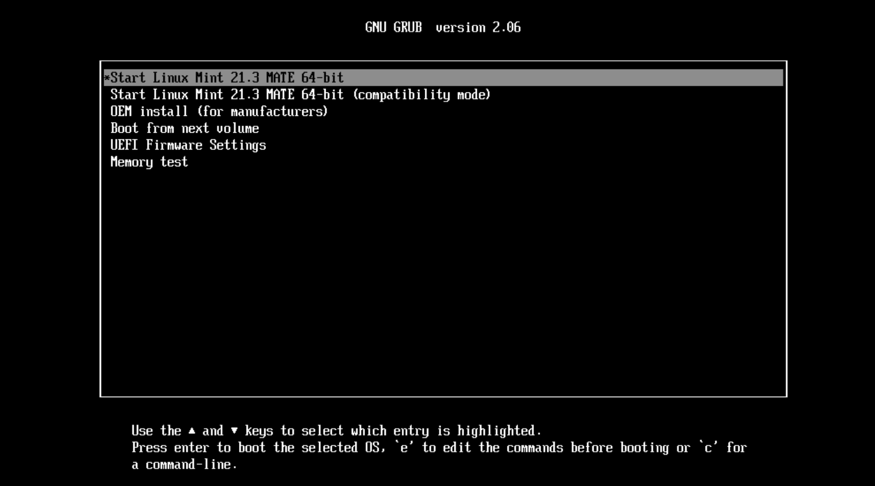 Linux Mint GRUB boot loader screen inside our VM